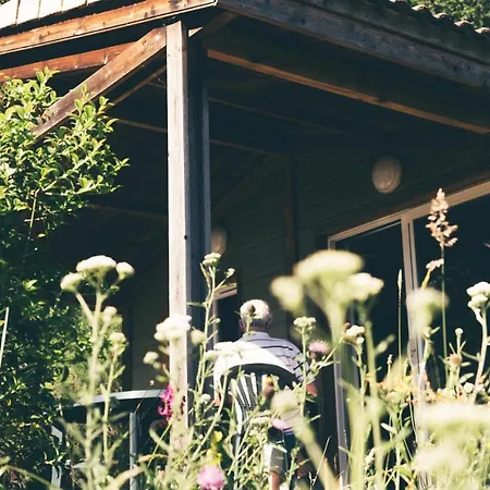 Pomette 3p 4pers Cazals (Lot)